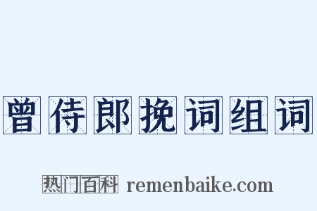 曾侍郎挽词组词是什么意思的图片